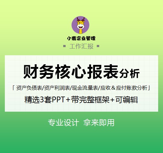 财务核心报表分析报告 精选3套【PPT完整框架】